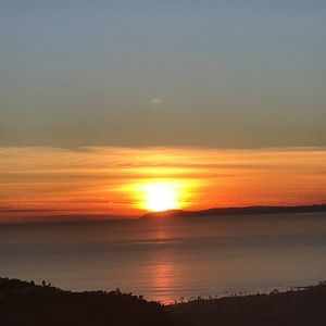 Meet your Posher, Saadia